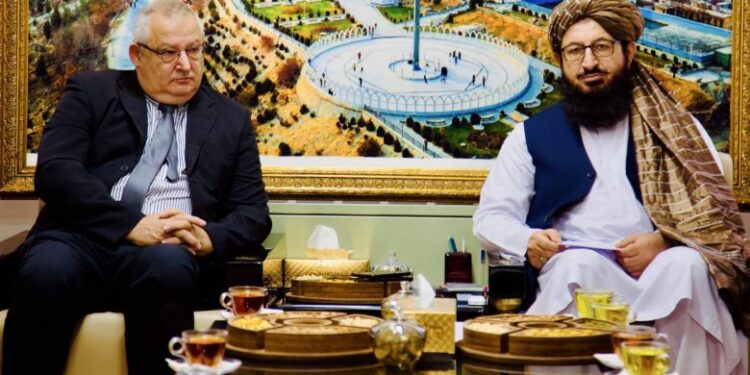سرپرست سفارت افغانستان در تهران با رییس دفتر رابط یوناما دیدار کرد